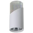 NEO WHITE CHROME DOWNLIGHT 1xGU10 (5)
