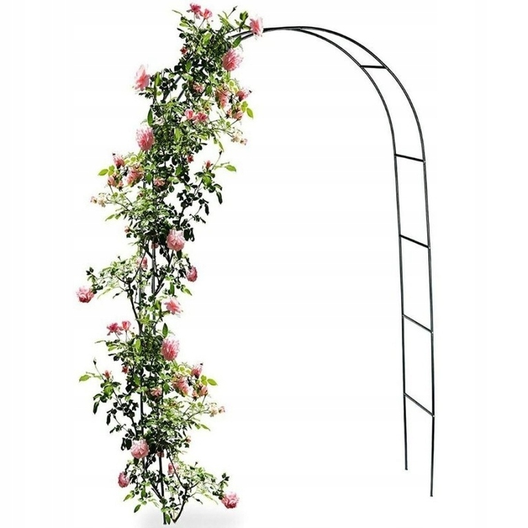 Pergola metal Pergola łuk 240 cm